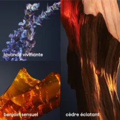 Paco Rabanne 1 Million Royal Parfum -BENLUX Boutique 1 million royal parfum eau de parfum paco rabanne 50 ml 2