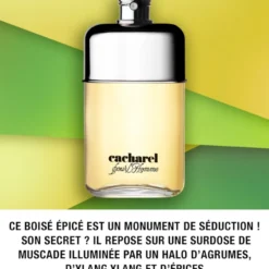 Cacharel Pour L'Homme -BENLUX Boutique cacharel homme eau de toilette 100 ml 3