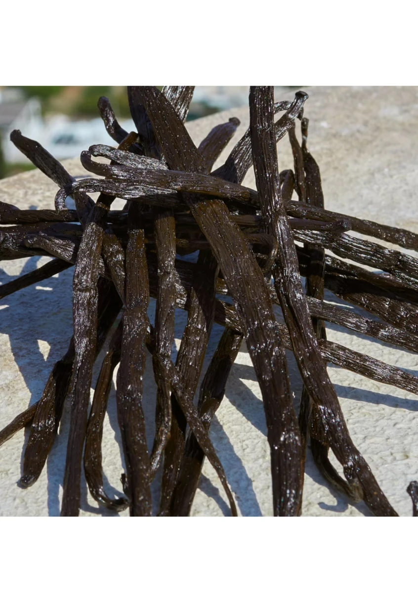 Devotion 6 Devotion – Image 6