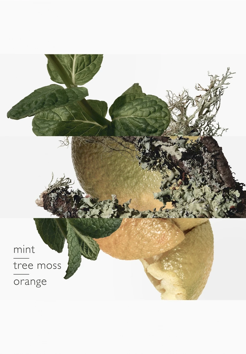 Hermès Eau D'orange Verte 4 Hermès Eau D'orange Verte – Image 4