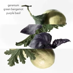 Hermès Eau De Basilic Pourpre -BENLUX Boutique eau de basilic pourpre cologne hermes 200 ml 3 2