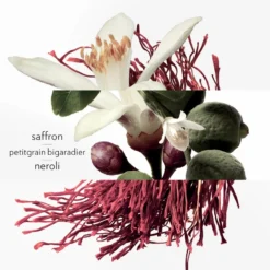 Hermès Eau De Néroli Doré 6 Hermès Eau De Néroli Doré -BENLUX Boutique eau de neroli dore eau de cologne hermes 100 ml 2