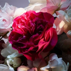 Lancome La Nuit Trésor Fleur De Nuit -BENLUX Boutique la nuit tresor fleur de nuit eau de parfum florale lancome 100 ml 4