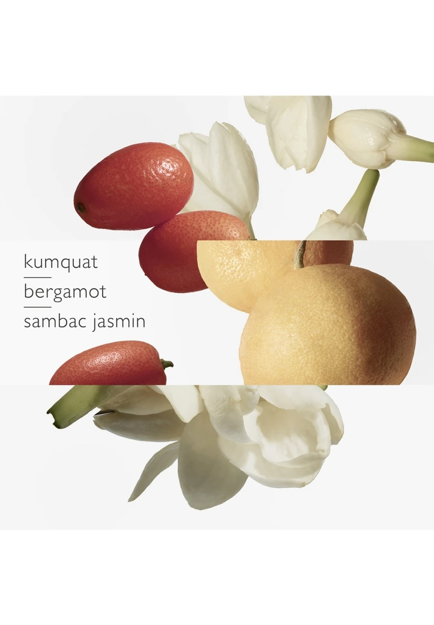 Hermès Le Jardin De Monsieur Li 3 Hermès Le Jardin De Monsieur Li – Image 3