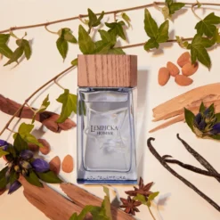 Lolita Lempicka Lempicka Homme -BENLUX Boutique lempicka homme eau de toilette lolita lempicka 100 ml 2 1