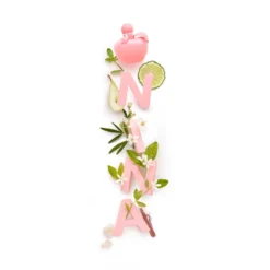 Nina Ricci Nina Rose 38 Nina Ricci Nina Rose -BENLUX Boutique nina rose eau de toilette nina ricci 80 ml 2 1