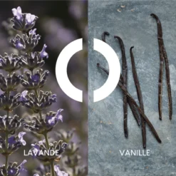 POUR UN HOMME DE CARON 29 POUR UN HOMME DE CARON -BENLUX Boutique pour un homme de caron eau de toilette caron 200 ml 3 4