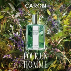 POUR UN HOMME DE CARON 33 POUR UN HOMME DE CARON -BENLUX Boutique pour un homme de caron eau de toilette caron 500 ml 1 1