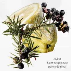 Terre D'Hermès Eau Givrée 23 Terre D'Hermès Eau Givrée -BENLUX Boutique terre d hermes eau givree eau de parfum hermes 100 ml 3