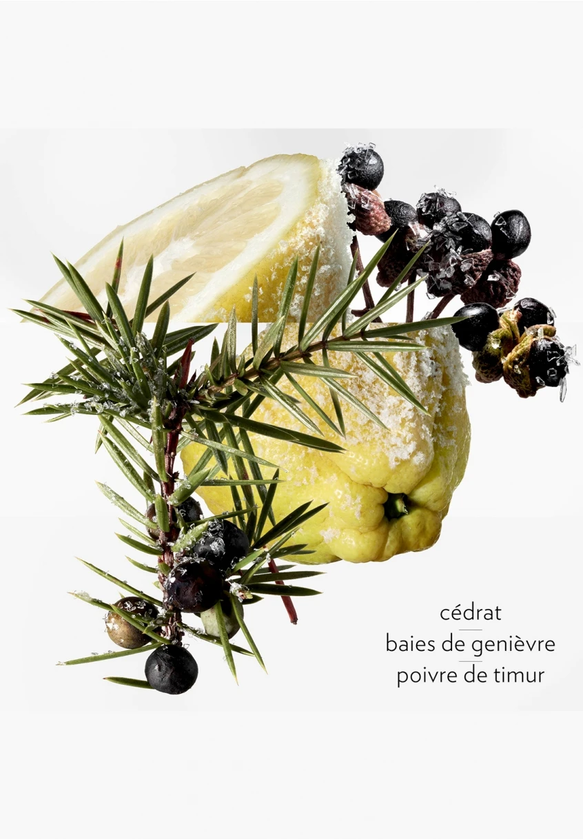 Terre D'Hermès Eau Givrée 14 Terre D'Hermès Eau Givrée – Image 14