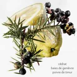 Terre D'Hermès Eau Très Fraîche 27 Terre D'Hermès Eau Très Fraîche -BENLUX Boutique terre d hermes eau grivree eau de parfum hermes 175 ml 3