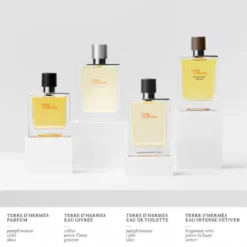 Terre D'Hermès Eau Très Fraîche 28 Terre D'Hermès Eau Très Fraîche -BENLUX Boutique terre d hermes eau grivree eau de parfum hermes 175 ml 4