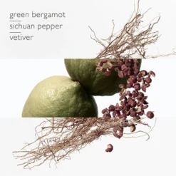 Terre D'Hermès Eau Intense Vétiver 11 Terre D'Hermès Eau Intense Vétiver -BENLUX Boutique terre d hermes eau intense vetiver eau de parfum hermes 100 ml 1