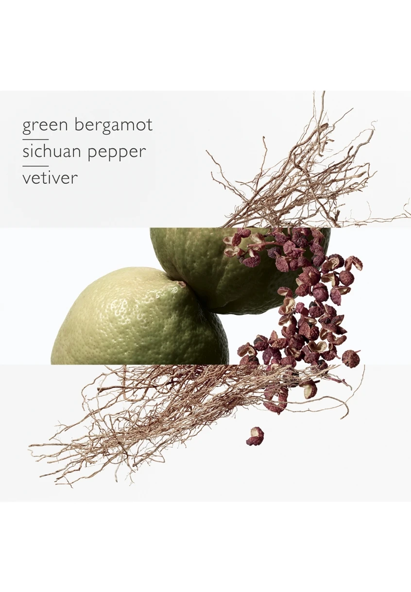 Terre D'Hermès Eau Intense Vétiver 3 Terre D'Hermès Eau Intense Vétiver – Image 3