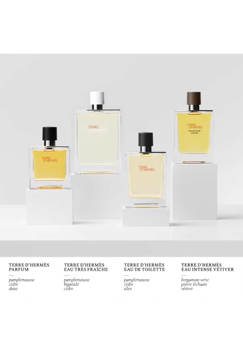 Terre D'Hermès Eau Intense Vétiver 5 Terre D'Hermès Eau Intense Vétiver – Image 5