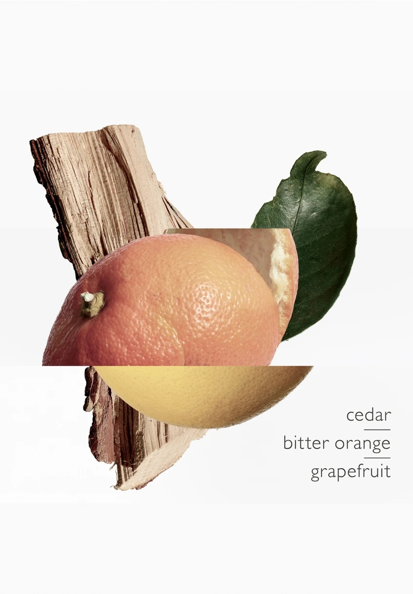 Terre D'Hermès Eau Très Fraîche 8 Terre D'Hermès Eau Très Fraîche – Image 8