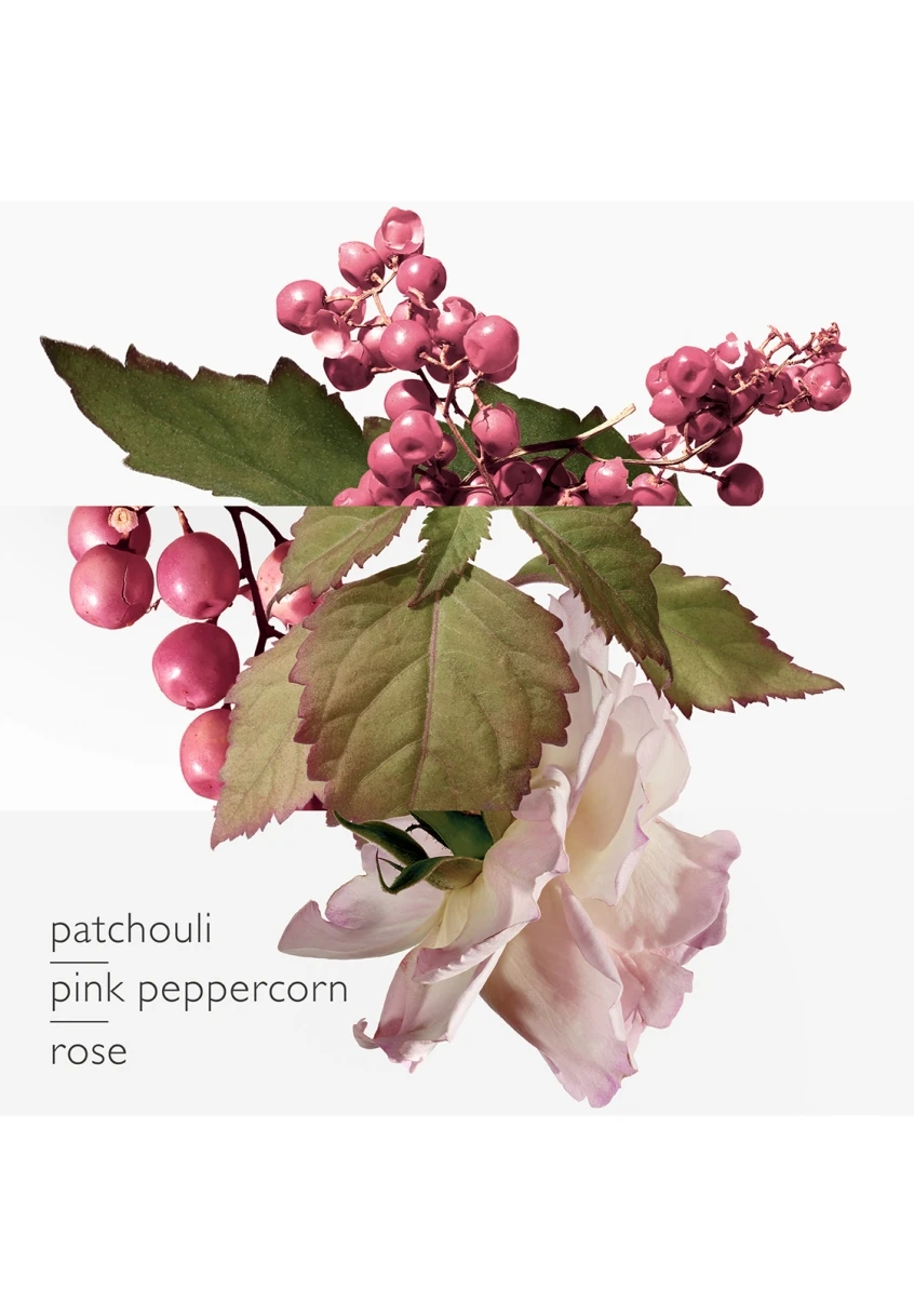 Twilly D'Hermès Eau Poivrée 9 Twilly D'Hermès Eau Poivrée – Image 9