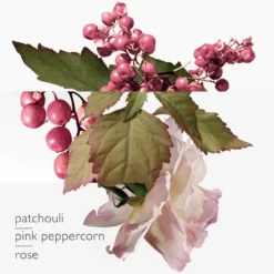 Twilly D'Hermès Eau Poivrée 28 Twilly D'Hermès Eau Poivrée -BENLUX Boutique twilly d hermes eau poivree eau de parfum hermes 85 ml 3