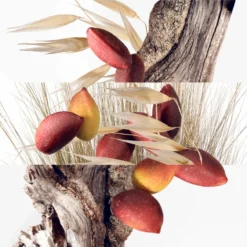 Hermès Un Jardin à Cythère 14 Hermès Un Jardin à Cythère -BENLUX Boutique un jardin a cythere eau de toilette hermes 50 ml 2