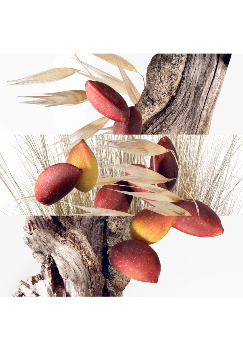 Hermès Un Jardin à Cythère 3 Hermès Un Jardin à Cythère – Image 3